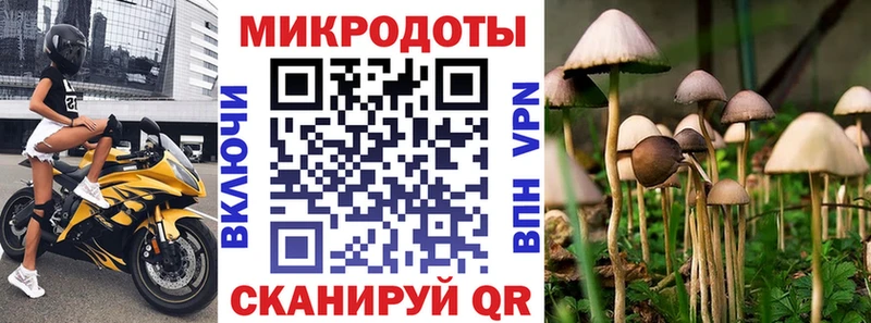 цены   Новая Ладога  Псилоцибиновые грибы ЛСД 