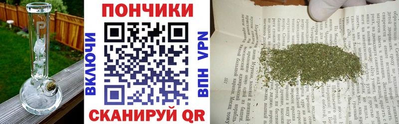 где купить наркотик  Новая Ладога  Шишки марихуана конопля 